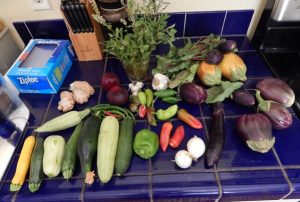squashes, beets, peppers, onions, egg plants, and herbs