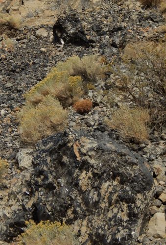 Panum Crater