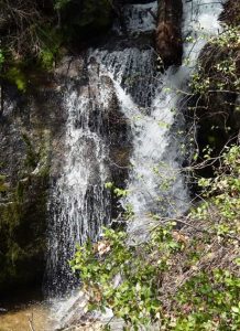 Waterfall Nelder Grove of Giant Sequoias