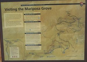 Interpretive Signs, Mariposa Grove