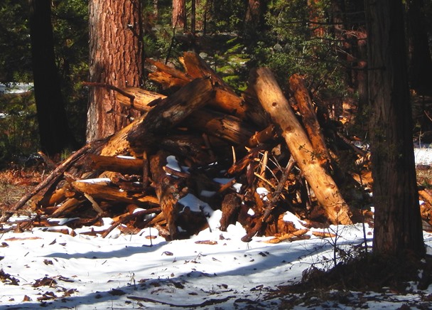 Log pile in Yosemtie Valley