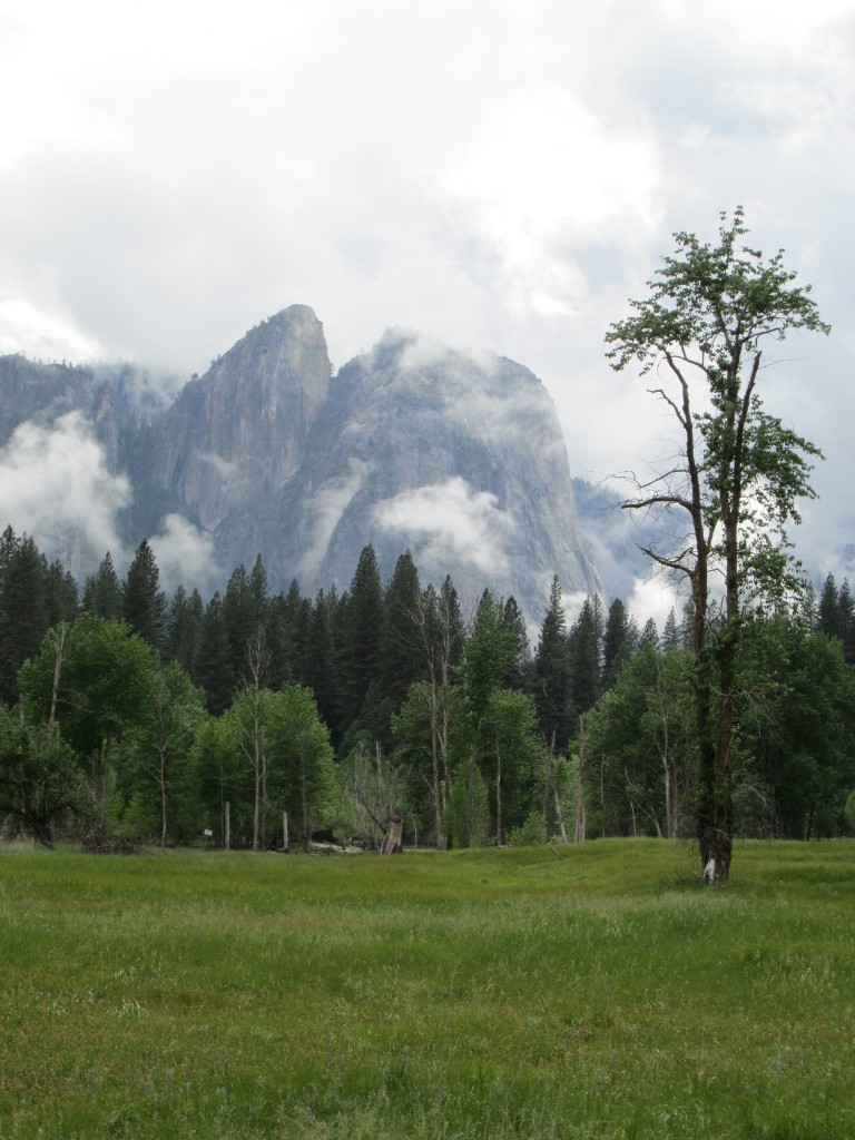 Yosemite Valley Weather