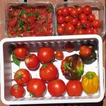 Peppers, tomatoes, and cherry tomatoes